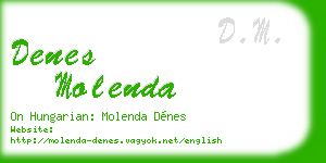 denes molenda business card
